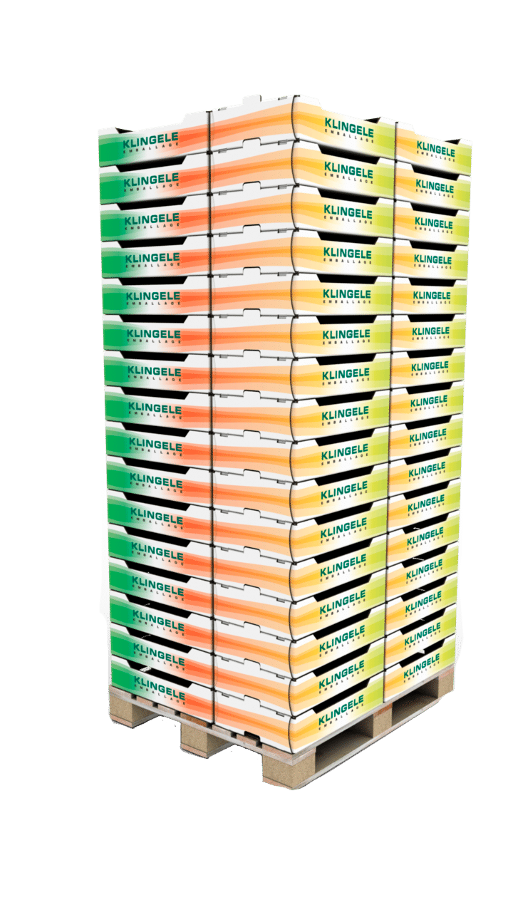 pallets boxes for fruits