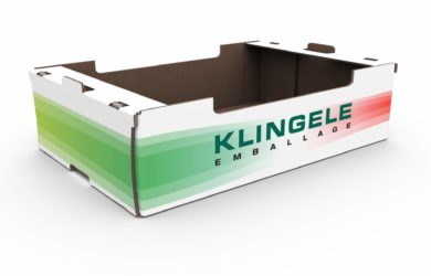 charentais melon box 600x400x160