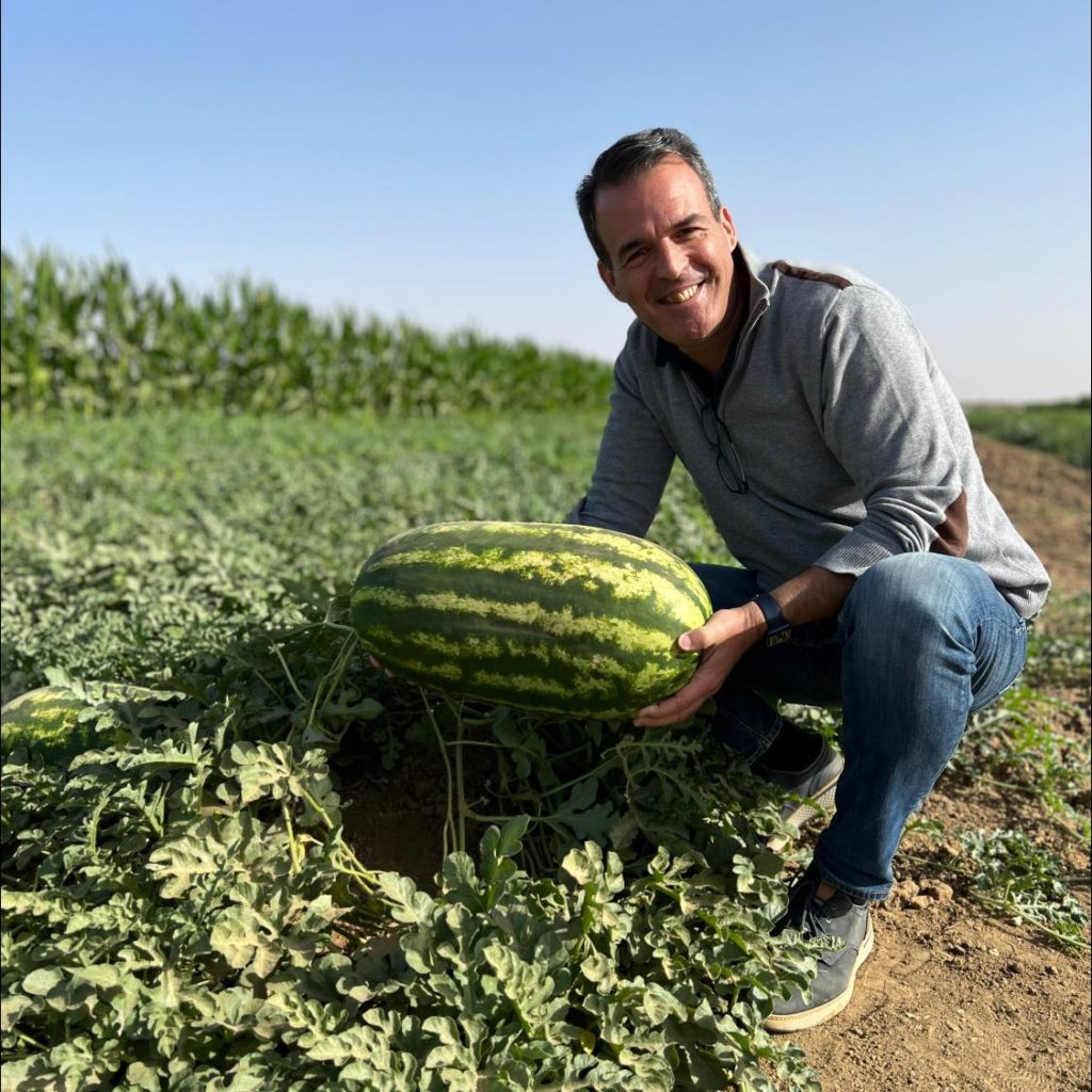 Packaging boxes for watermelons